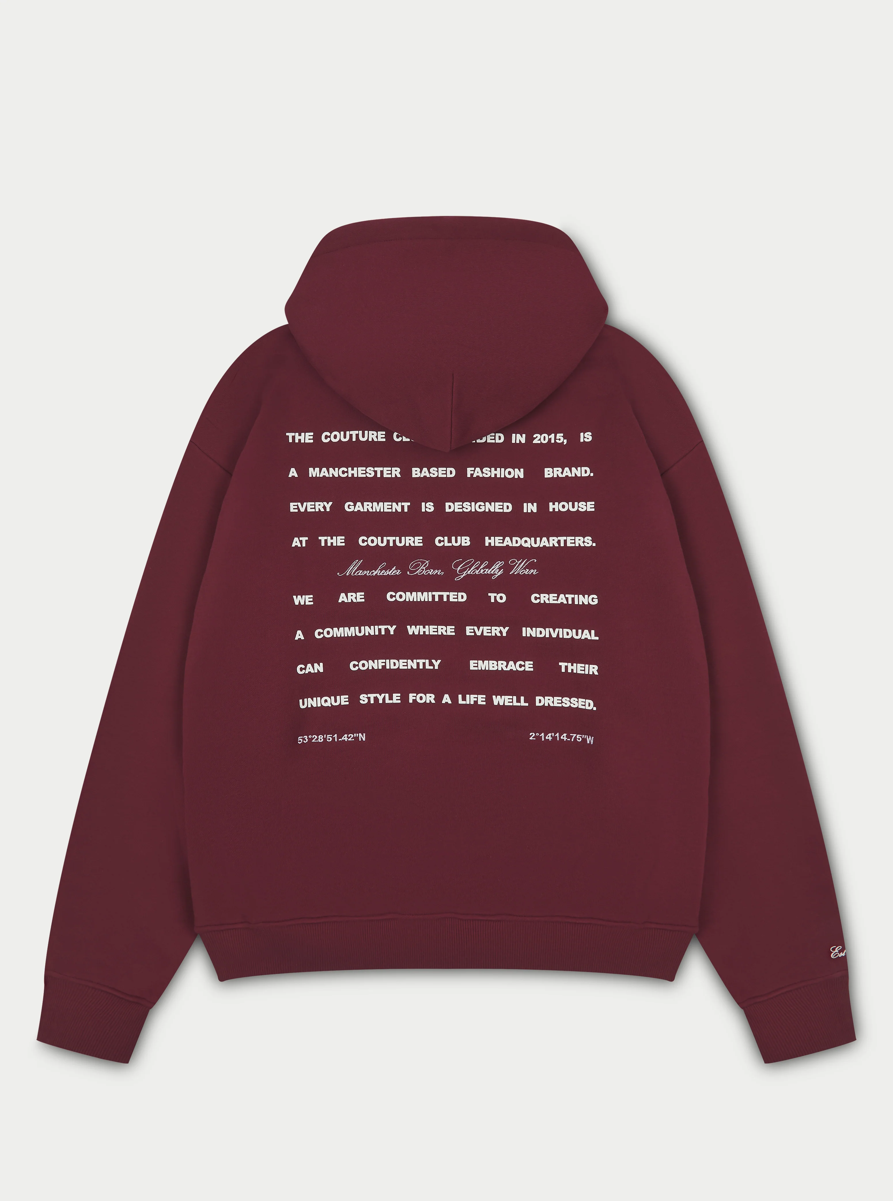 MISSION STATEMENT RELAXED HOODIE - BURGUNDY - Image 7